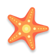 starfish